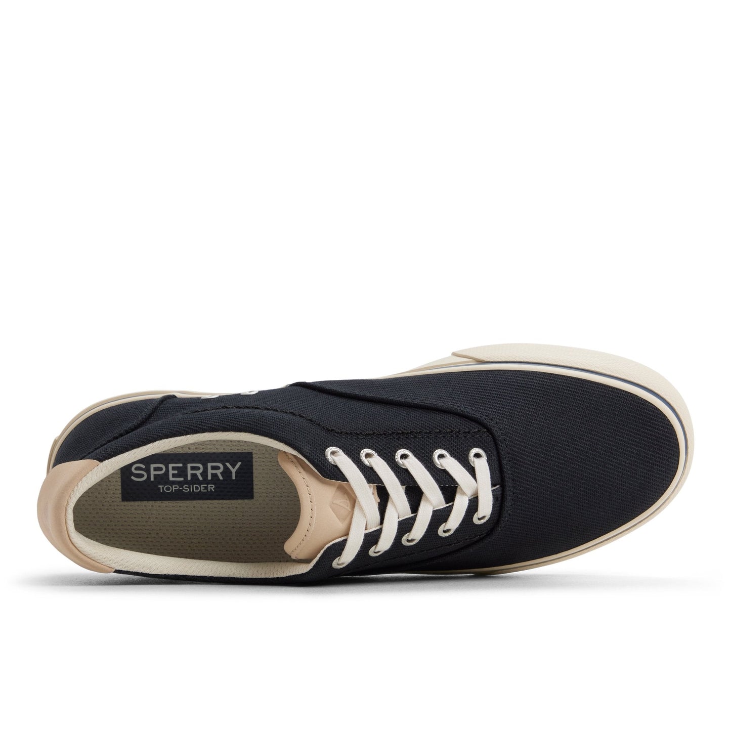 Sperry CVO Helm Sneaker Black