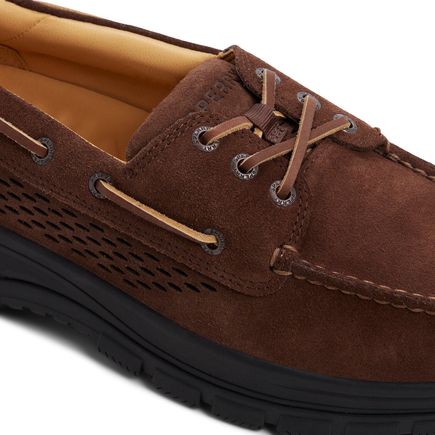 Sperry Gold Cup Billfish Boat Shoe Dark brown