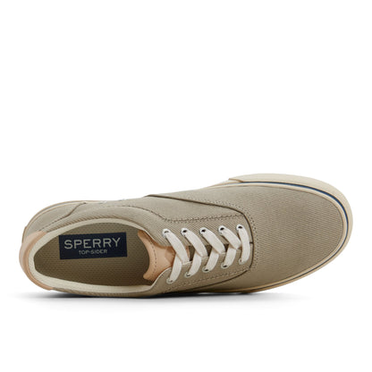 Sperry CVO Helm Sneaker Mid grey
