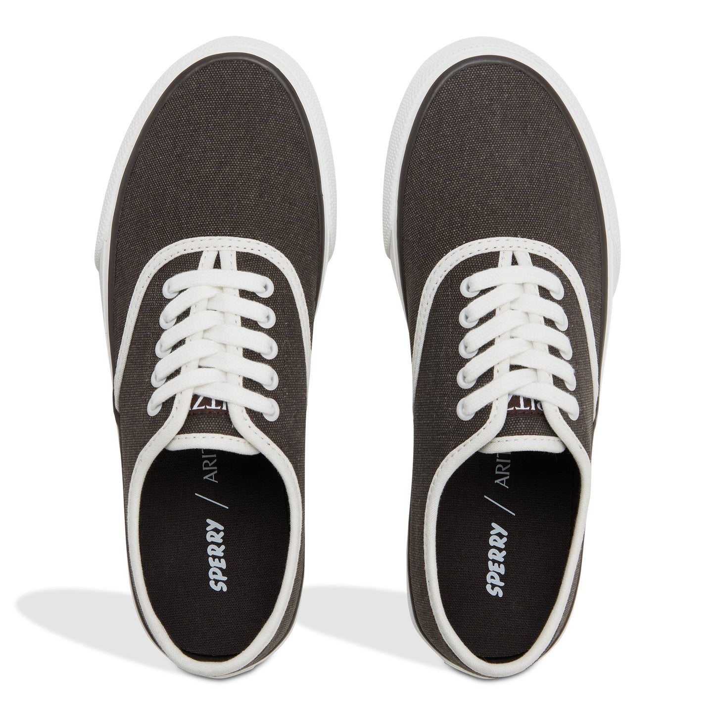 Sperry Sperry x Aritzia CVO Sneaker Dark brown