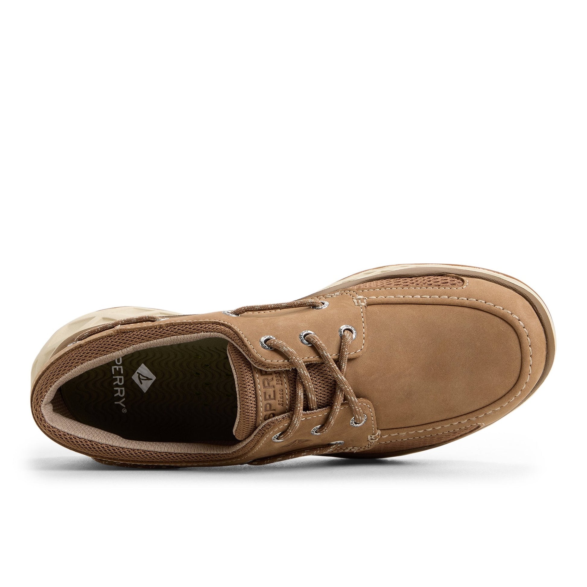 Sperry Dipsail Boat Sneaker Dark brown