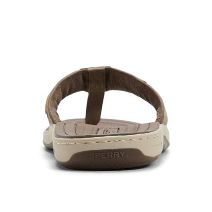 Sperry Baitfish Thong Sandal Taupe