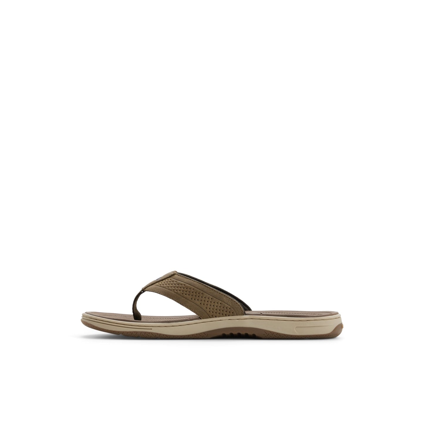 Sperry Havasu Thong Sandal Olive