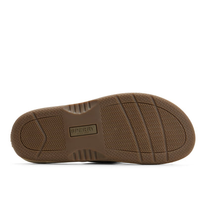 Sperry Havasu Thong Sandal Olive