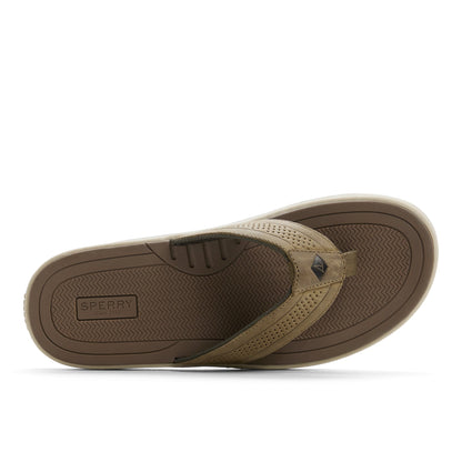 Sperry Havasu Thong Sandal Olive