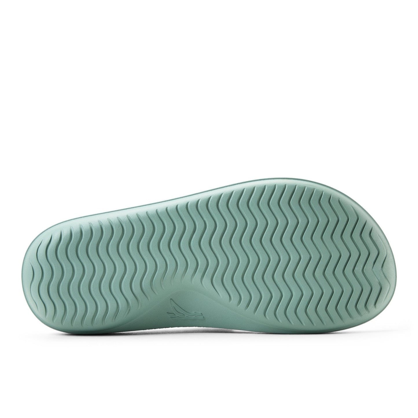 Sperry Flow Sandal Light green