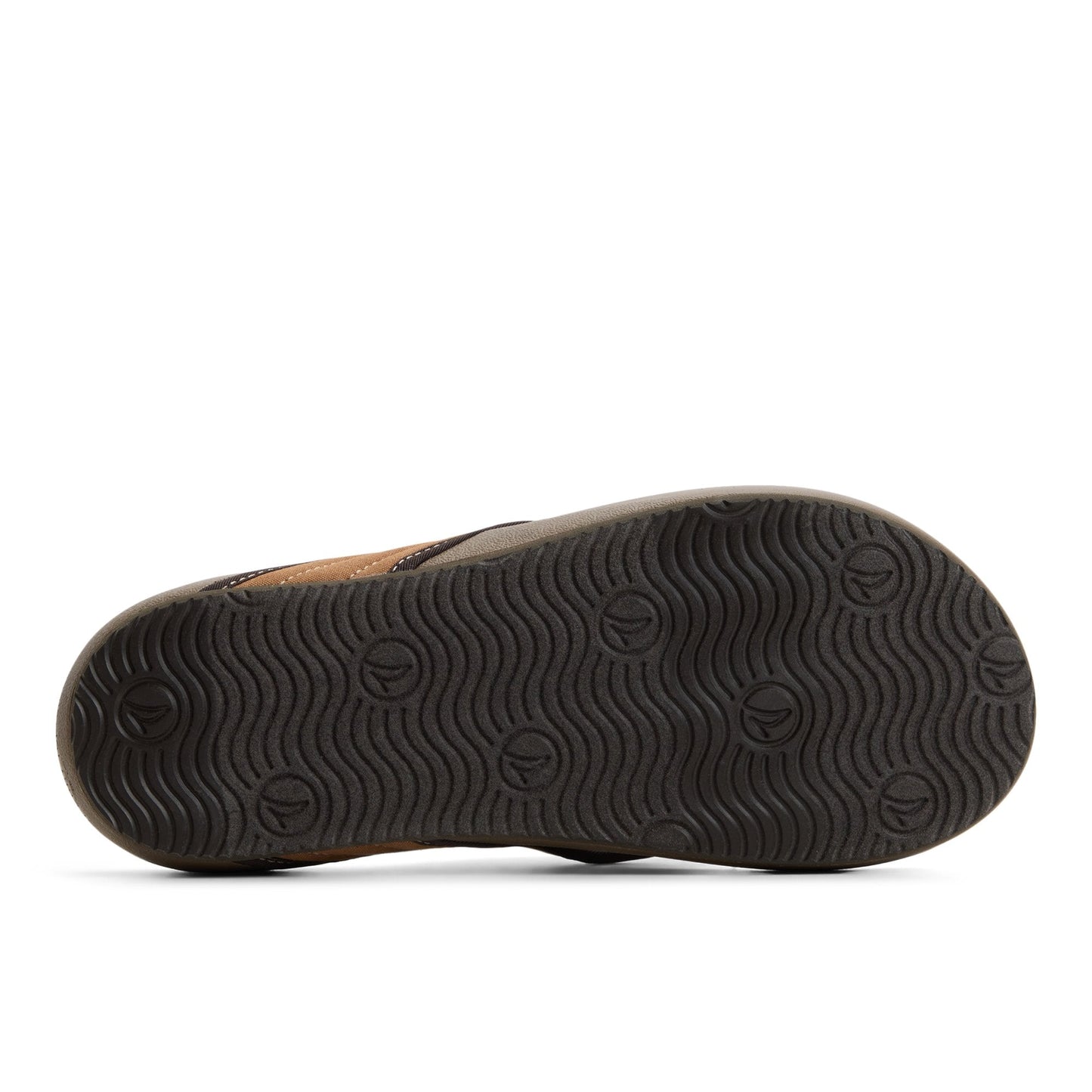 Sperry Ventura Sandal Tan