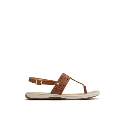 Sperry Sunfish Thong Sandal Tan