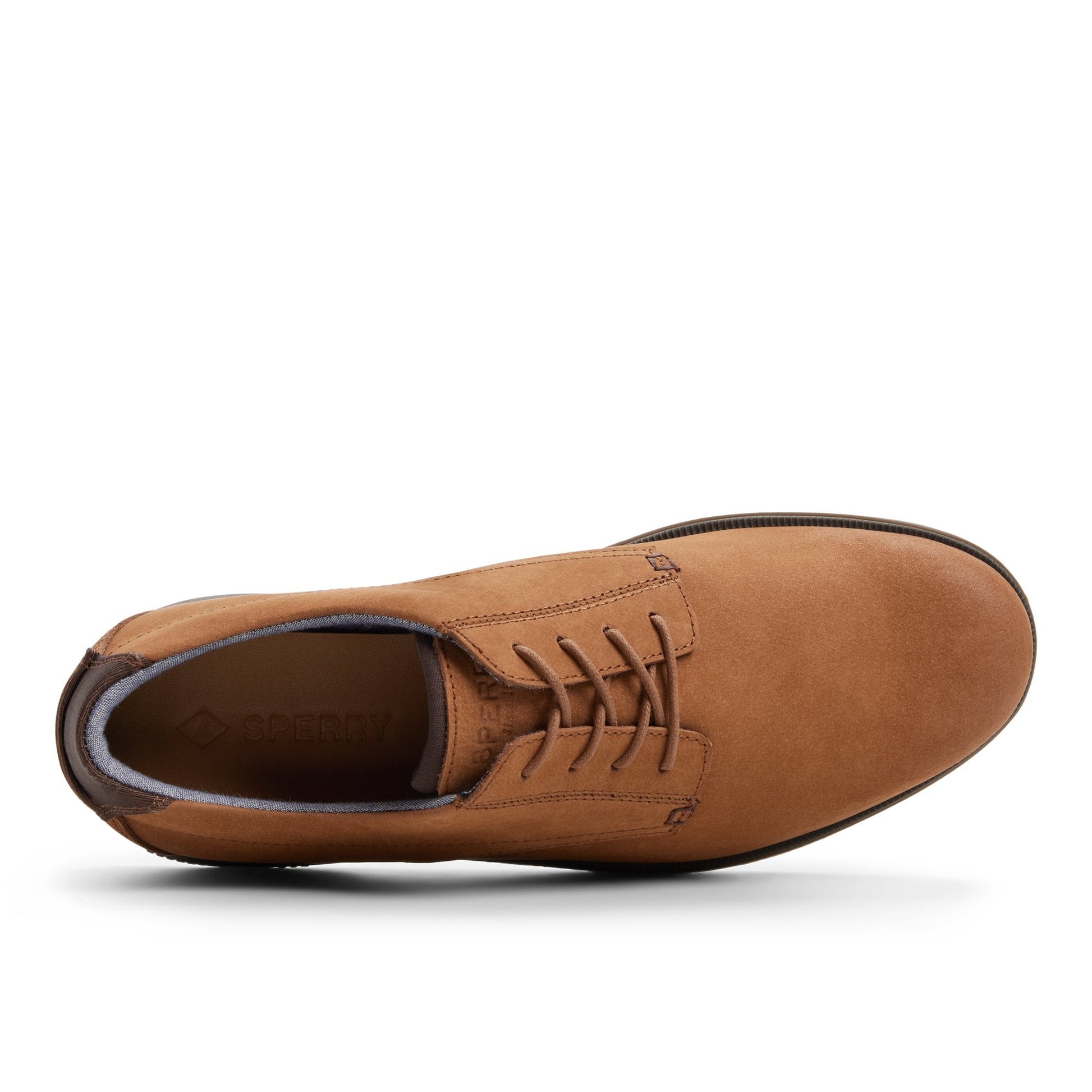 Sperry Newman Oxford II Bordo