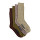 Brown multi