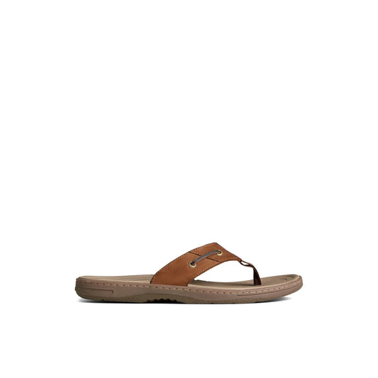 Sperry Baitfish Leather Flip Flop Brown
