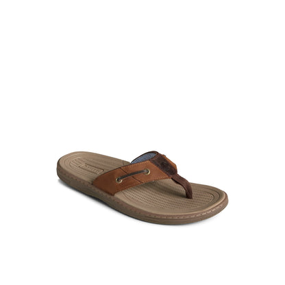 Sperry Baitfish Leather Flip Flop Brown